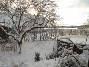 Vinter 8 dec 3