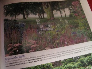 Garden Illustrated 2