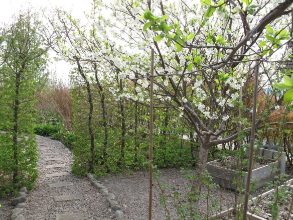 avenboksportal 13 maj