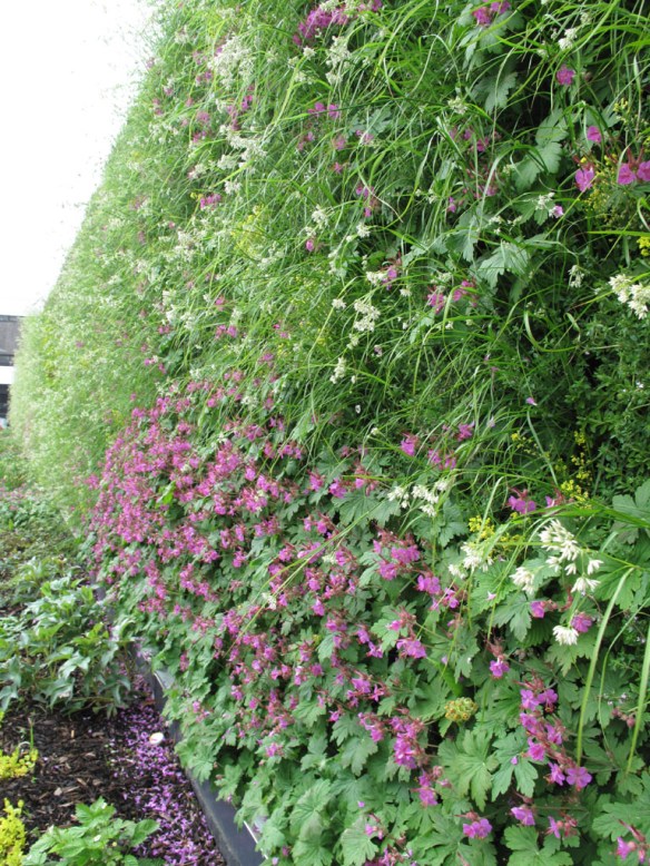 grön vägg green wall 1