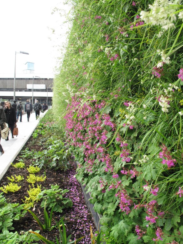 grön vägg green wall 3