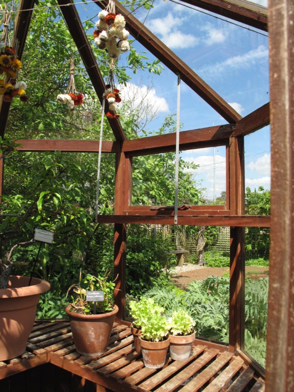 Växthus Ryton Gardens 14