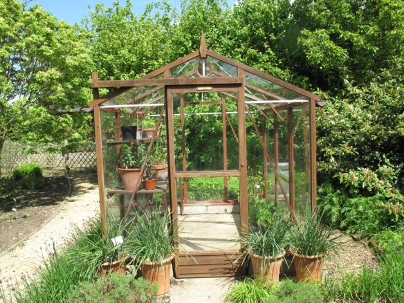 Växthus Ryton Gardens 8