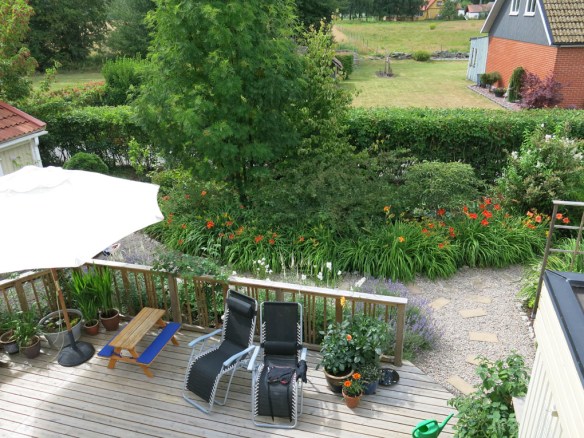 Stora trädäcket från ovan