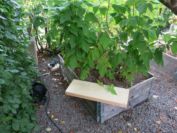 Omgörning bärlandet 1