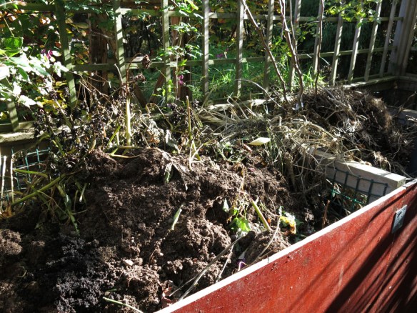 kompost 1