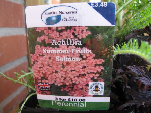 rölleka summerfruit salmon 1