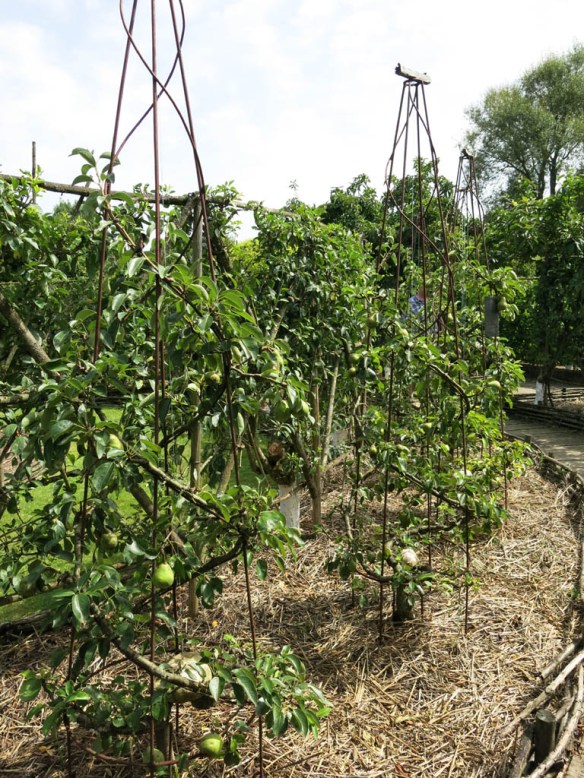 Prieure Notre Dame D'Orsan 10