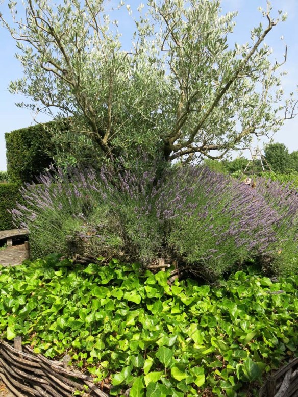 Prieure Notre Dame D'Orsan 19