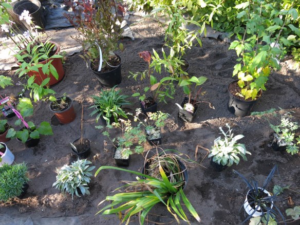 Grönakleja 29 september