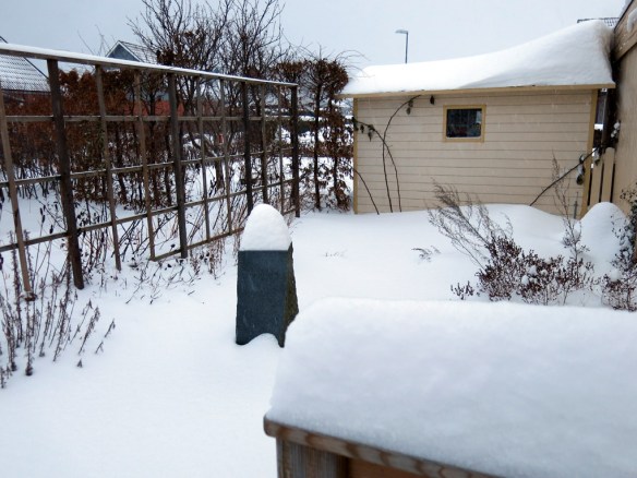 snö 30 jan örtagården