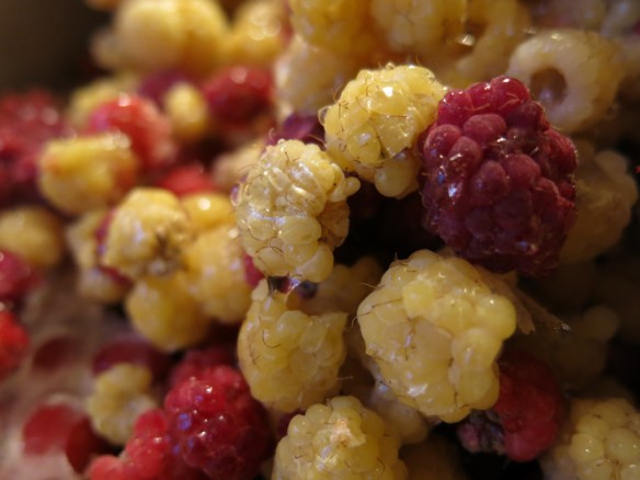 frysta bär saft sylt 2