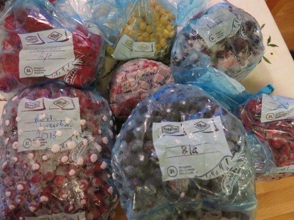 frysta bär saft sylt