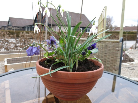 Bärlandet 16 mars 14 spaljébygge 4