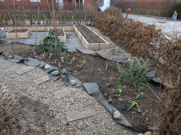 Bärlandet 22 feb 14