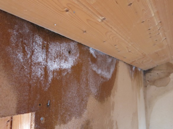 6 april 14 trädgårdsbod rivning 2