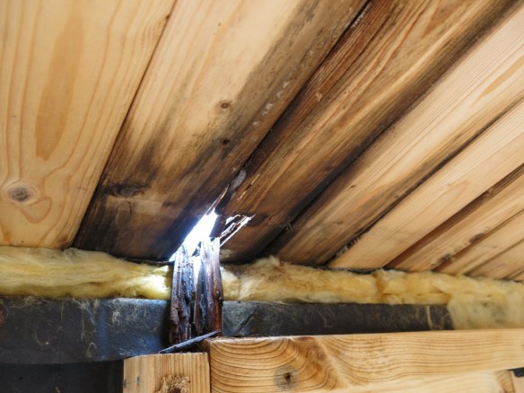 6 april 14 trädgårdsbod rivning 4