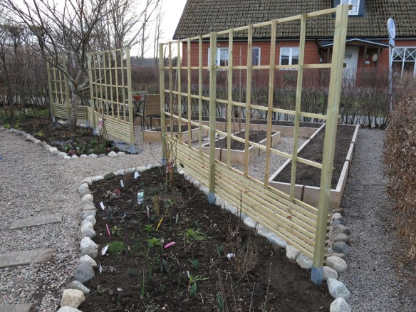 skära rabatten 23 mars 14