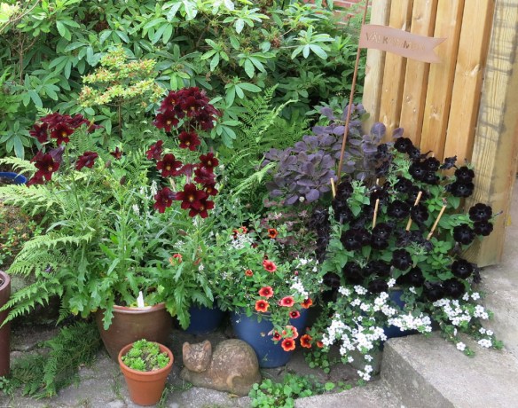 sommarblommor trappan