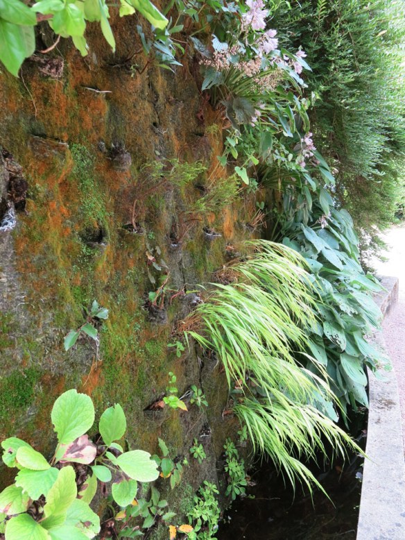 Växtvägg Chaumont 4