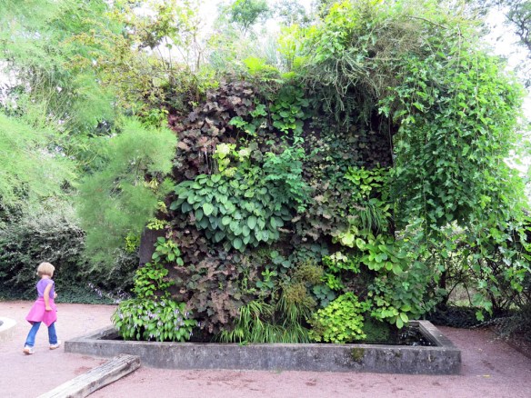 Växtvägg Chaumont 7