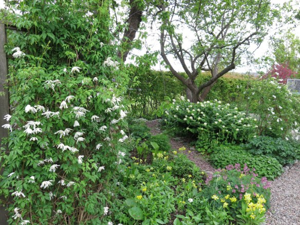 2014 maj. Lunden, sett från komposthörnan
