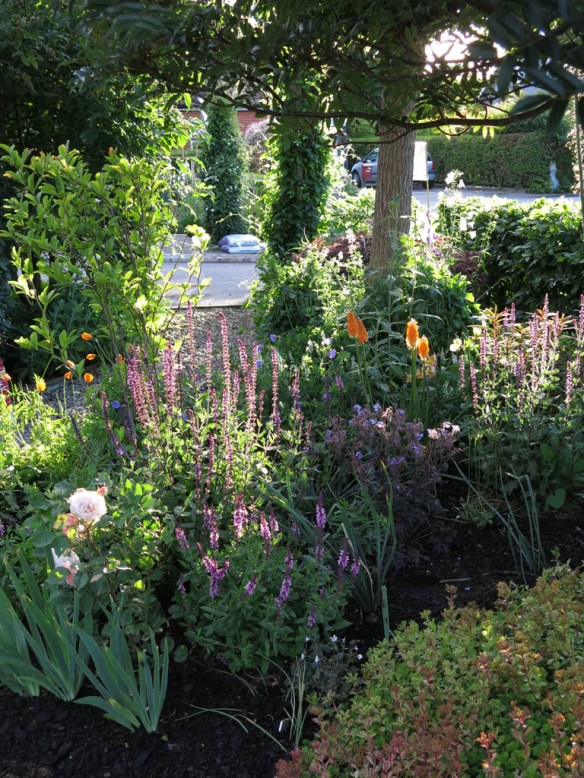 22 juni 14 magnoliarabatt 1