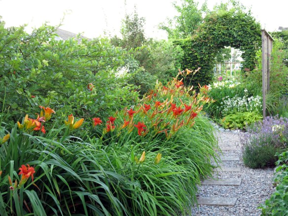 juli 14 dagliljerabatten 2