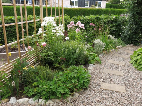 16 aug 14 skära rabatten 3