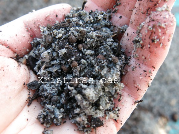 green roof grönt tak 10 kopiera