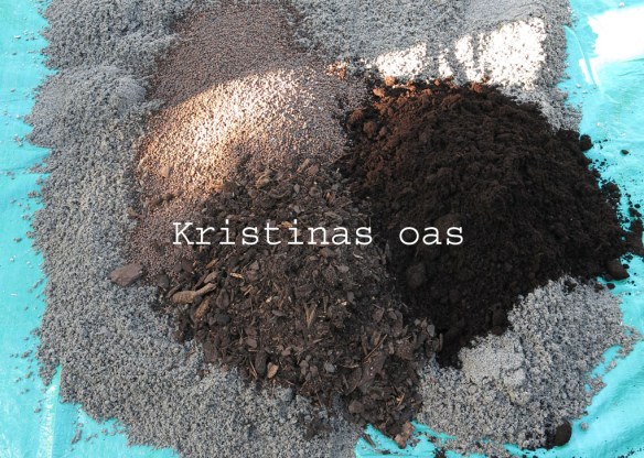 green roof grönt tak 13 kopiera