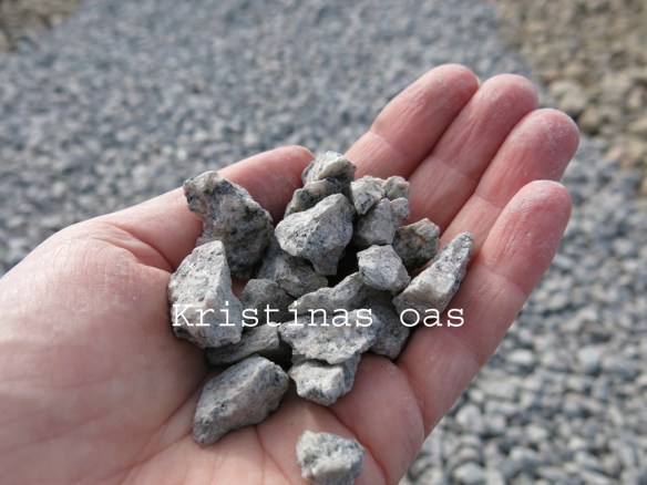 green roof grönt tak 9 kopiera