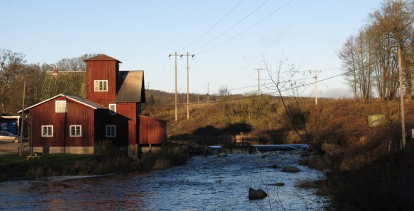 25 nov 14 promenad vatten bokskog 12