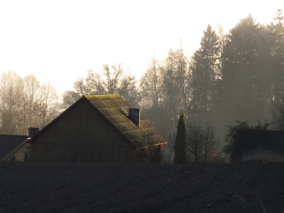 25 nov 14 promenad vatten bokskog 8