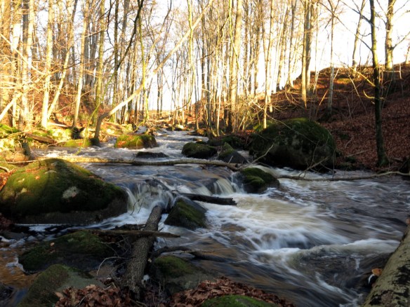 25 dec 14 å vatten rundtur bokskog