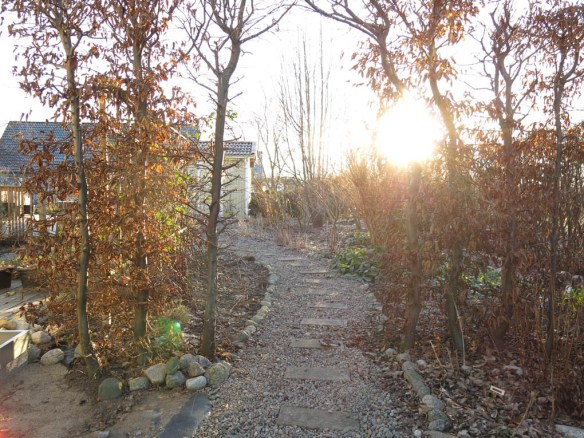 26 dec 14 avenboksportal dagliljerabatt