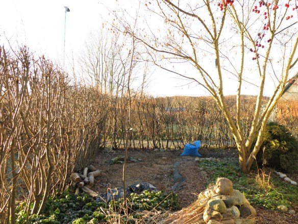 26 dec 14 trädhörn sandlådehörnet damm