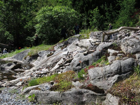 14 juni sta riksmöte 2014 trädgård nr 3 2