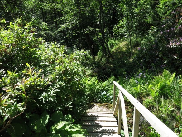 14 juni sta riksmöte 2014 trädgård nr 3 5