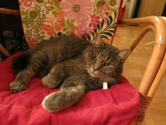 sy kuddar trädgårdsboden 4