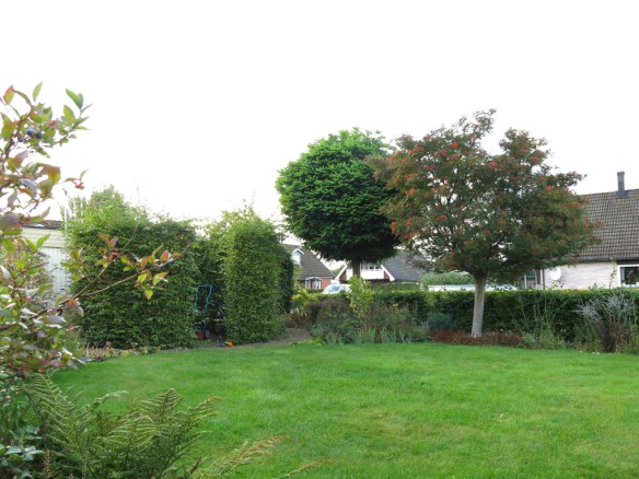 21 sep 14 framsidan klotrobinia carmencitarönn gräsmatta