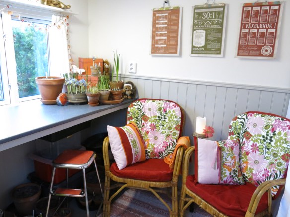 5 feb 15 trädgårdsbod trädgårdsrum vårblommor