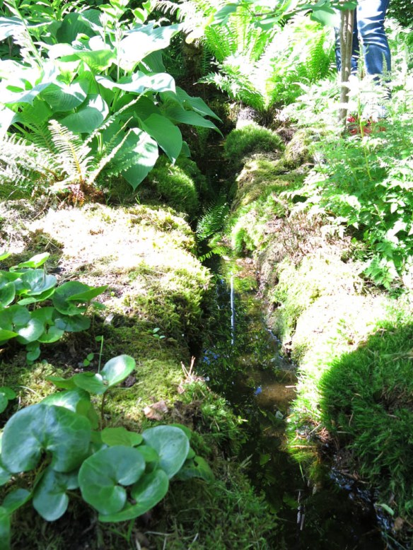 STA riksmöte växjö 2014 stass trädgård 9 bild 2