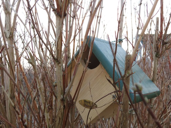 16 mars 15 fågelholk 3