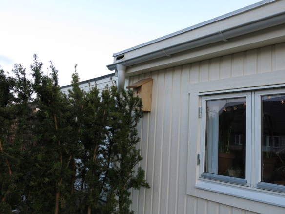 16 mars 15 fågelholk