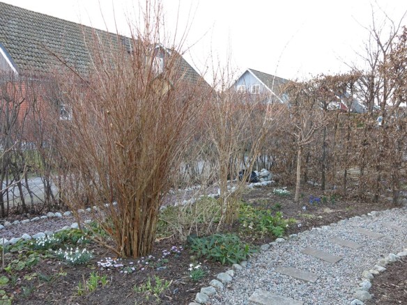 16 mars fågelholk 2