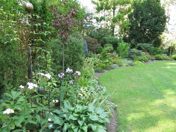 6 sep 14 trädgård IK 12