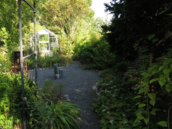 6 sep 14 trädgård IK 29