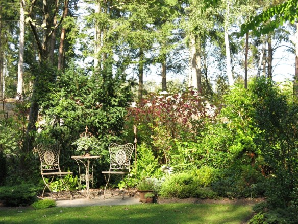 6 sep 14 trädgård IK 7