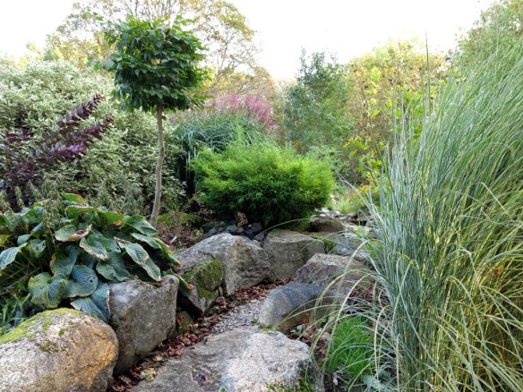 sep 2014 trädgård z2